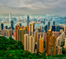 Stanford Mongkok Hong Kong Series